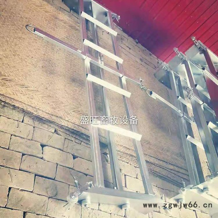 盛旺畜牧供应刮粪机主机一拖一刮粪机  一拖二刮粪板进口电机图3