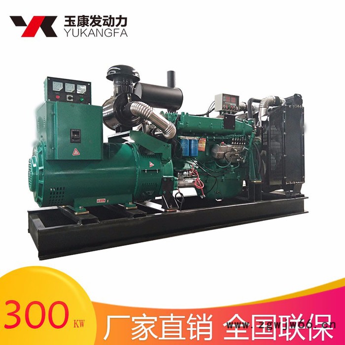 300kw柴油发电机组 四川成都机场火车站汽车站备用电源图4