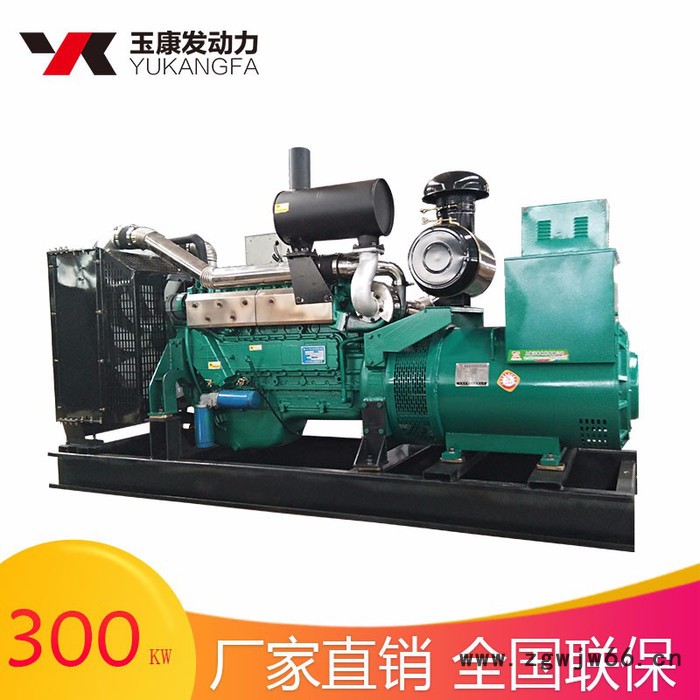 300kw柴油发电机组 四川成都机场火车站汽车站备用电源图2