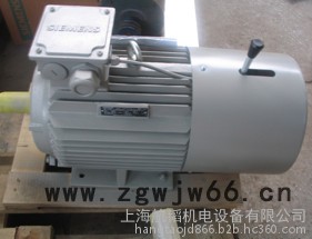 西门子刹车电机 制动刹车专用电机 1LE0001系列 可带强冷风机 可加编码器 上海发货快图5