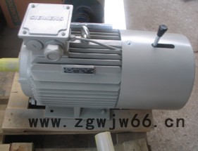 西门子刹车电机 制动刹车专用电机 1LE0001系列 可带强冷风机 可加编码器 上海发货快图4