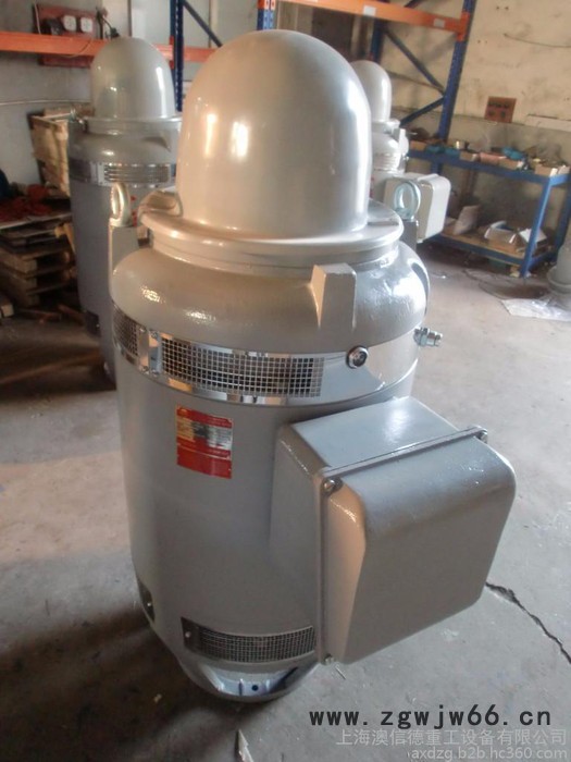 SEMC品牌电动机，YLB深井泵电机图1