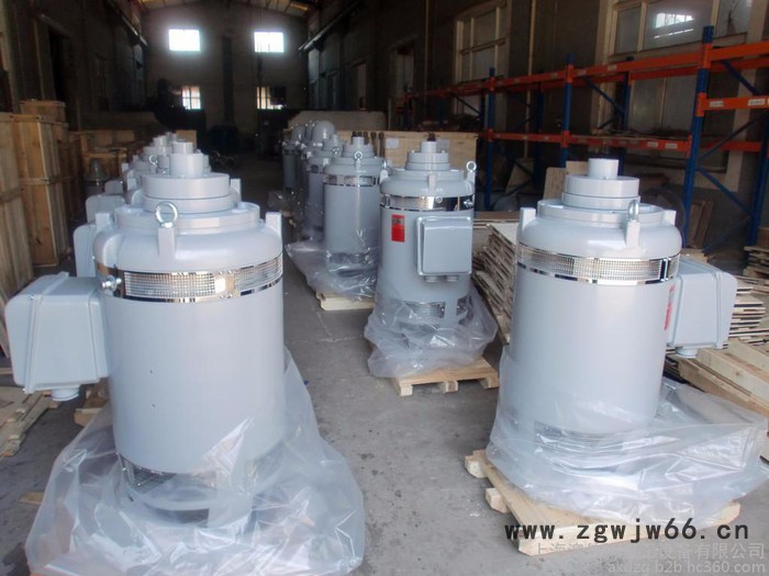 SEMC品牌电动机，YLB深井泵电机图4