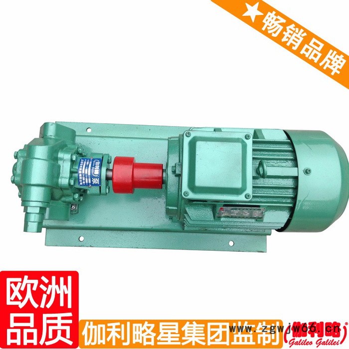 意大利原装进口齿轮泵 汽车输油泵 齿轮油泵电机组 晋图7