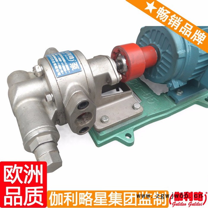 意大利原装进口齿轮泵 汽车输油泵 齿轮油泵电机组 晋图8