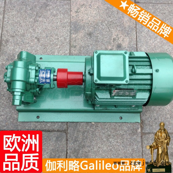 意大利原装进口齿轮泵 汽车输油泵 齿轮油泵电机组 晋图5