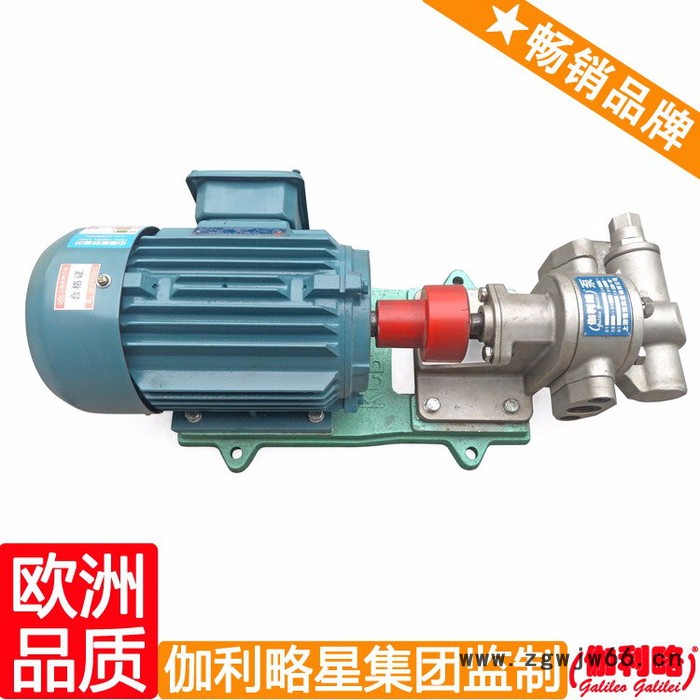 意大利原装进口齿轮泵 汽车输油泵 齿轮油泵电机组 晋图3