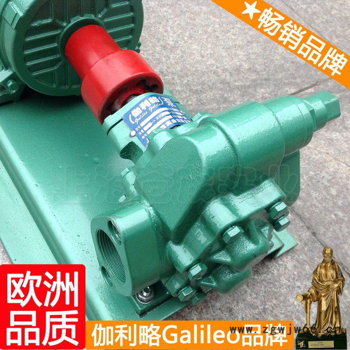 意大利原装进口齿轮泵 汽车输油泵 齿轮油泵电机组 晋图4