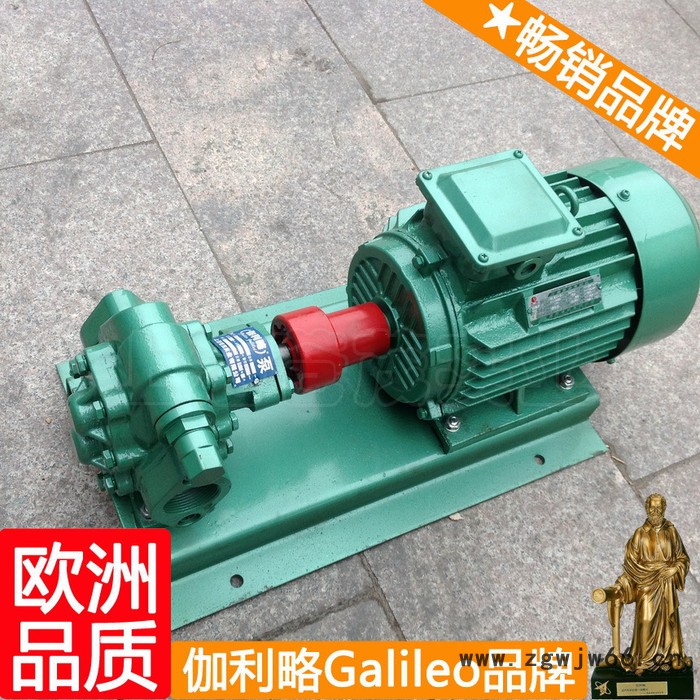 意大利原装进口齿轮泵 汽车输油泵 齿轮油泵电机组 晋图6