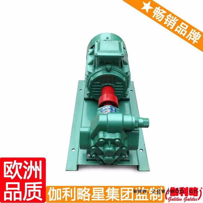 意大利原装进口齿轮泵 汽车输油泵 齿轮油泵电机组 晋图2