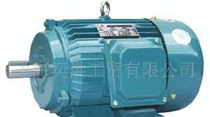 双速异步电机 YD250M-4/2图2