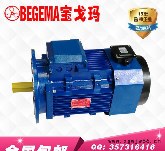 甘肃意大利BEGEMA变频电机BYVP5.5kw三相异步电机图3