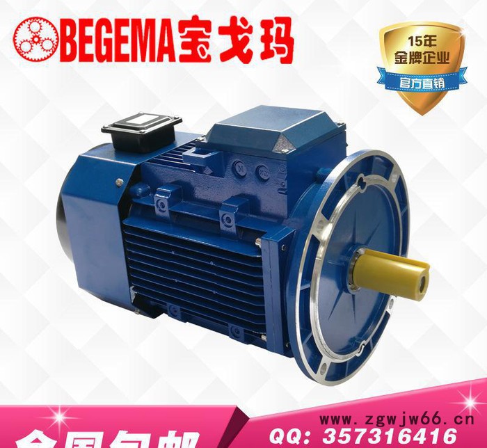 甘肃意大利BEGEMA变频电机BYVP5.5kw三相异步电机图2