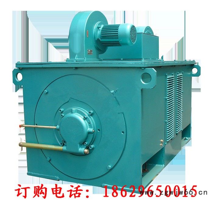 Y7107-16 560KW 10KV IP23 西安西玛电机 风机水泵等用高压电机图2