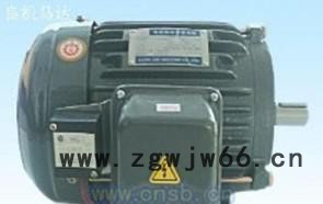 台湾东元刹车电机 (IEC 特殊马达） 机械设备用电机良机马图3