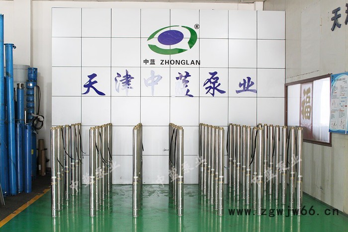 中蓝 小功率100QJ油浸式电机深井潜水泵图3