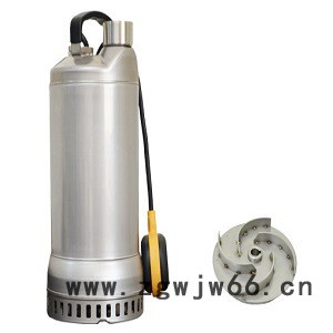 进口不锈钢喷泉泵大流量高扬程喷泉泵进口潜水泵美国富兰克林潜水泵德国意大利美国富兰克林电机不锈钢管中泵进口深井泵污水泵图2