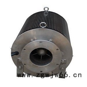 进口不锈钢喷泉泵大流量高扬程喷泉泵进口潜水泵美国富兰克林潜水泵德国意大利美国富兰克林电机不锈钢管中泵进口深井泵污水泵图4