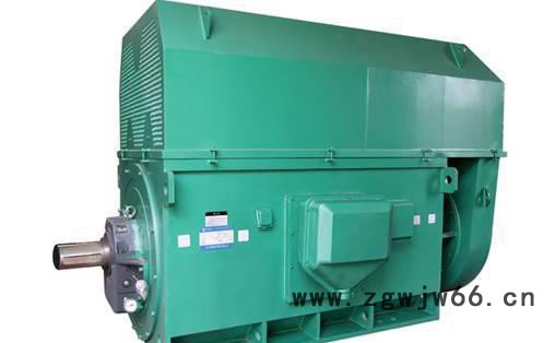 西玛Y4007-4-560kw 6KV(IP23)高压电机三图3