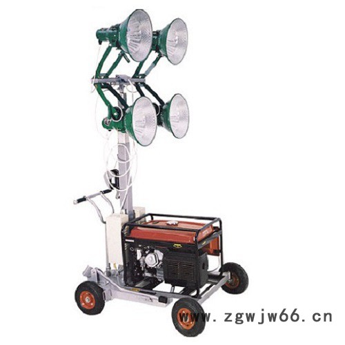 【天阳】进口汽柴油小型发电机带灯照明便携移动式发电机灯塔全方位泛光灯图7