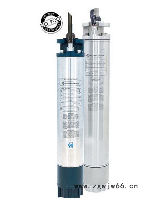 供应富兰克林深井泵温泉用90度高温潜水电机全不锈钢型地热温泉养老院图4