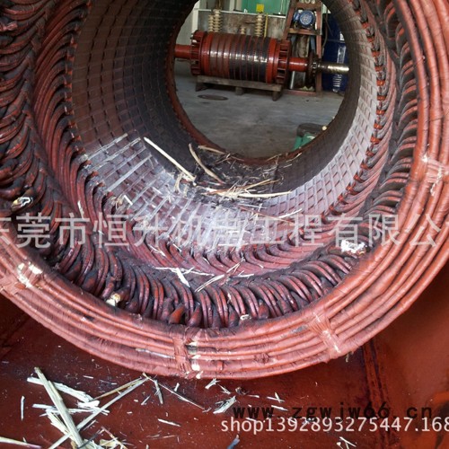 专业供应 高压电机 广州维修 佛山交流电机维修 大型电机修理厂家 马达维修厂商图2