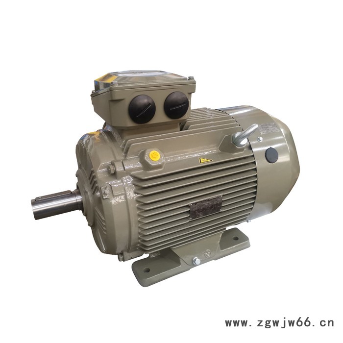 WOLONG 卧龙 GE电机  高效交流三相 异步电机图3
