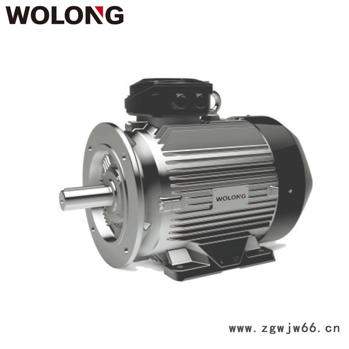 WOLONG 卧龙 GE电机  高效交流三相 异步电机图2