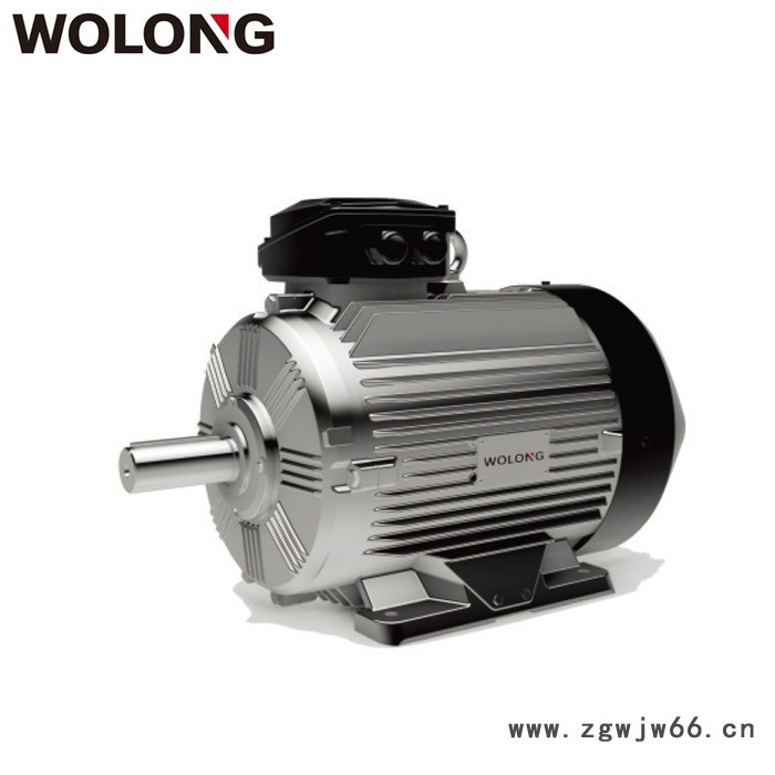 WOLONG 卧龙 GE电机  高效交流三相 异步电机图4