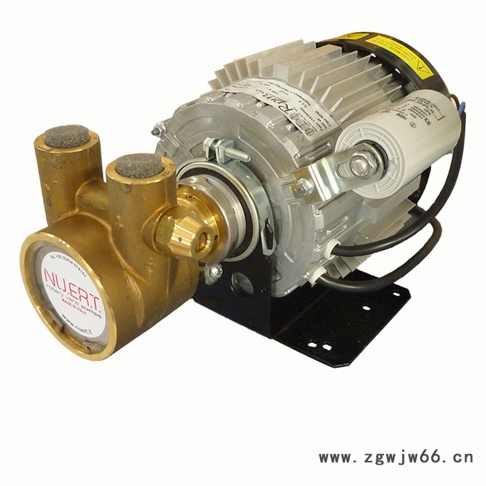 供应 纳特PR8AS-560W230V高压旋转压泵  欢迎来电咨询 厂家直供图3