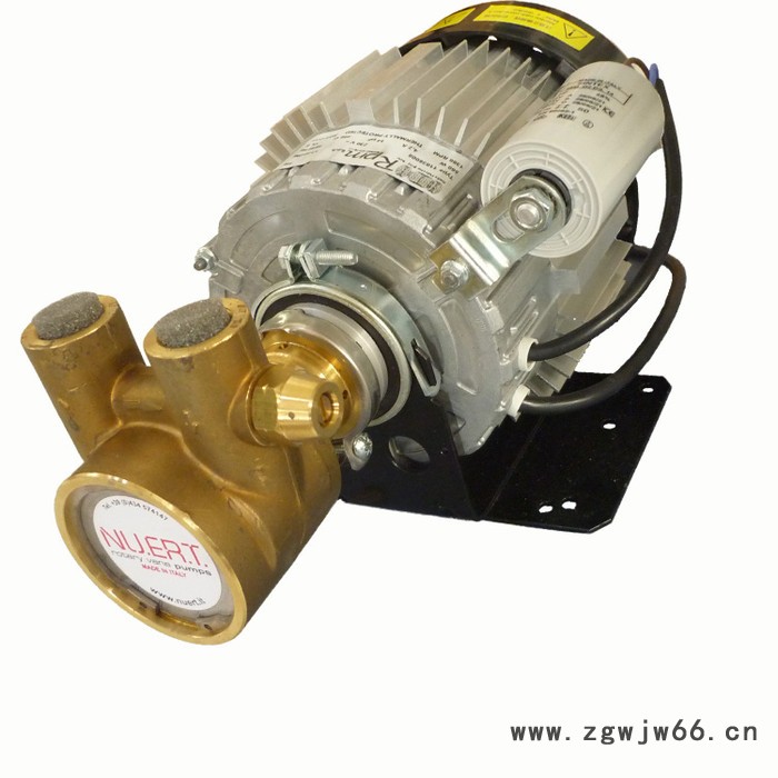 供应 纳特PR8AS-560W230V高压旋转压泵  欢迎来电咨询 厂家直供图2