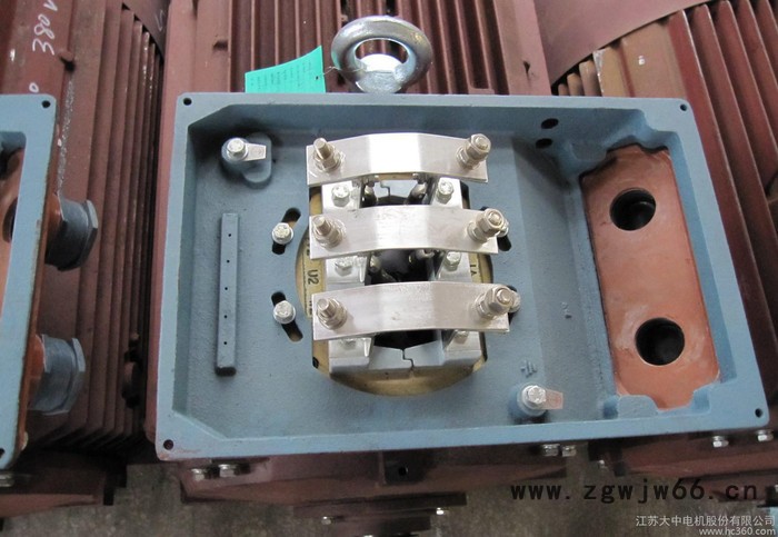 江苏大中电机，江苏Y2三相异步电机,防爆，变频，高压直流电机图3