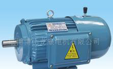 交流变频电机 直流电机 减速电机博山龙康电机图2