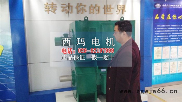 西玛电机Z系列直流电机切削机床所用 Z560-1A 1080KW图6