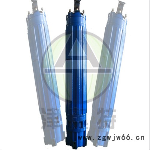 YQS175潜水电机,深井水提升电动潜水电机图4