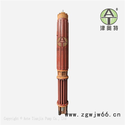 YQS津奥特潜水电机_深井抽水300米扬程潜水电机图2