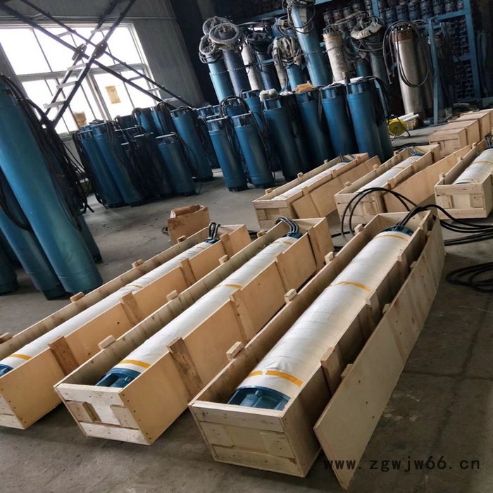 潜油深井潜水泵 潜油电泵 潜油电机 天津高扬程潜水泵图6