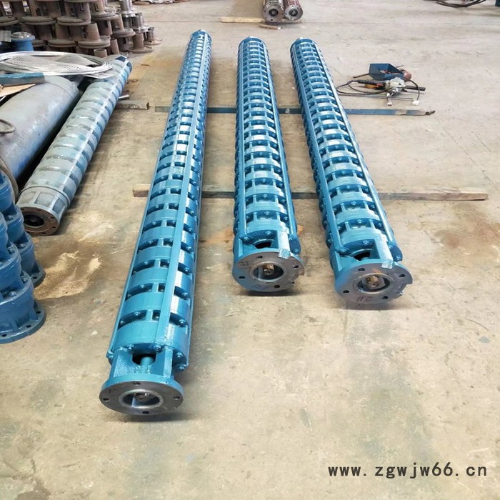 潜油深井潜水泵 潜油电泵 潜油电机 天津高扬程潜水泵图3