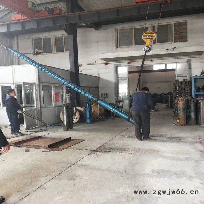 潜油深井潜水泵 潜油电泵 潜油电机 天津高扬程潜水泵图8