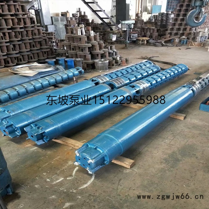 潜油深井潜水泵 潜油电泵 潜油电机 天津高扬程潜水泵图5