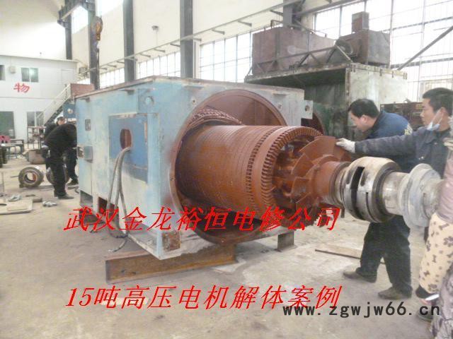 供应YRKSH355-630高压电机维修，进口电机维修。图2