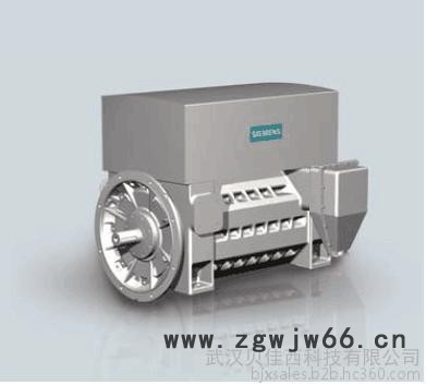 Siemens/西门子高压电机图4
