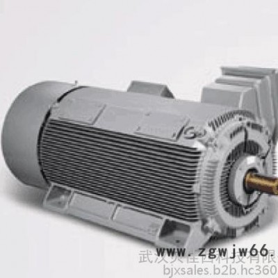 Siemens/西门子高压电机