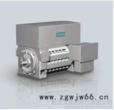 Siemens/西门子高压电机图5