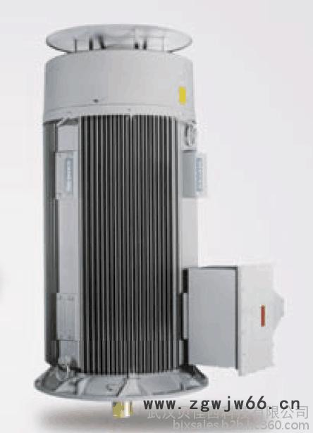 Siemens/西门子高压电机图2