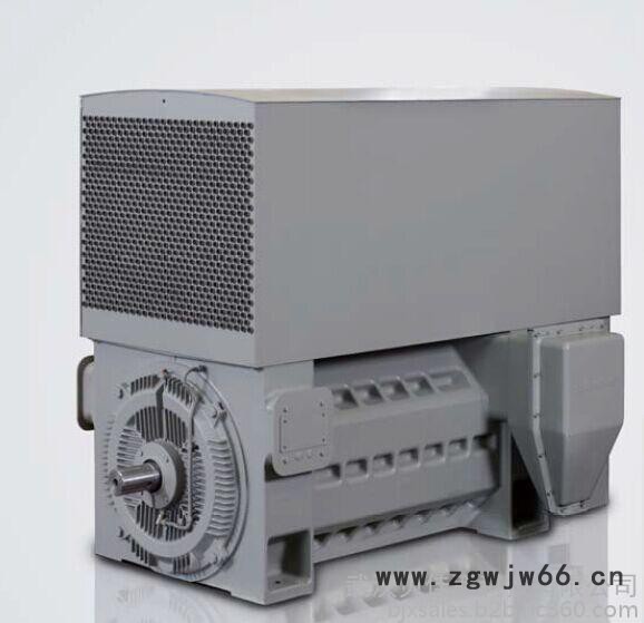 Siemens/西门子高压电机图3
