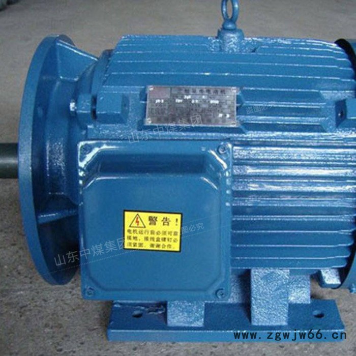 中煤 YBJ系列三相异步电机,三相异步电机厂家,三相异步电机技术参数图2