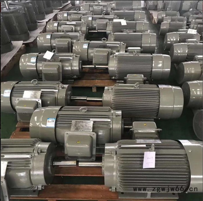 台湾大同电机 TATUNG大同异步电机 工厂直销图2