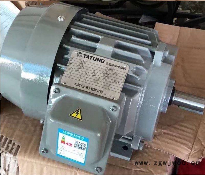 台湾大同电机 TATUNG大同异步电机 工厂直销图7