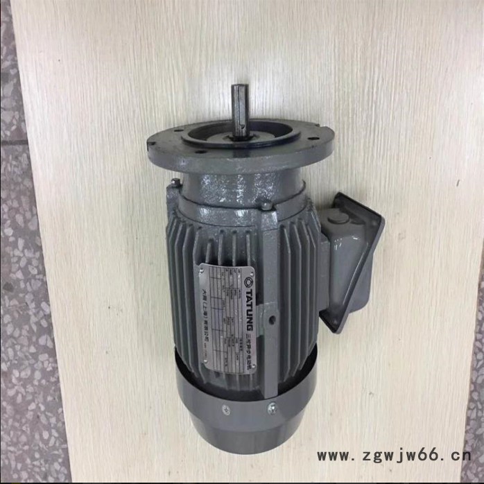 台湾大同电机 TATUNG大同异步电机 工厂直销图5